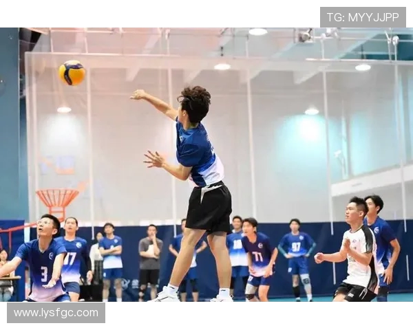 上海排球队展现强大实力大满贯赛事点评与分析 上海排球队展现强大实力大满贯赛事点评与分析