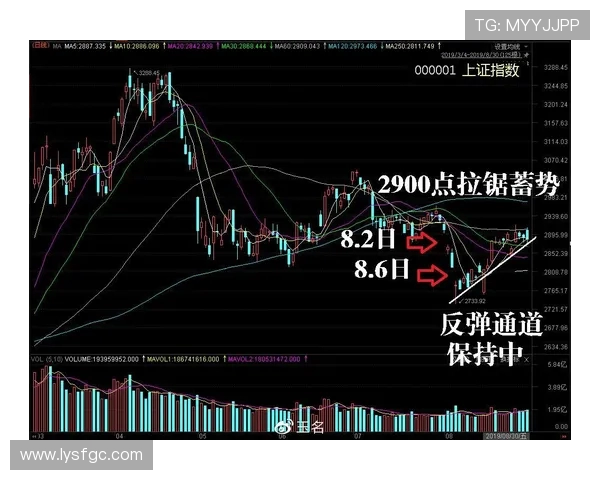 上海乒乓球队的整体压制现象及其对比赛格局的深远影响分析 上海乒乓球队的整体压制现象及其对比赛格局的深远影响分析