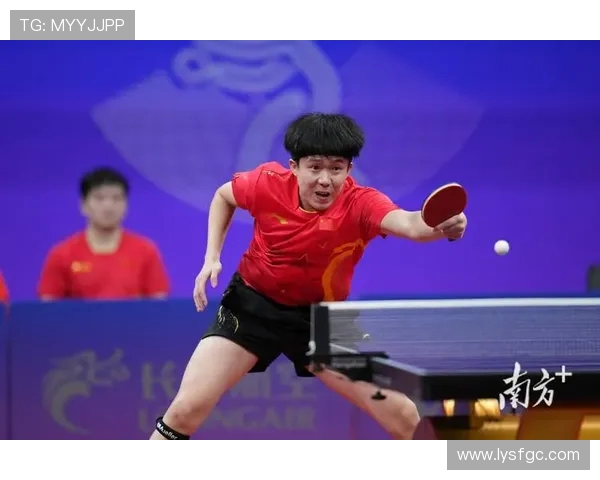 乒乓球个人能力排行榜揭晓深圳乒乓球队荣获第四名佳绩