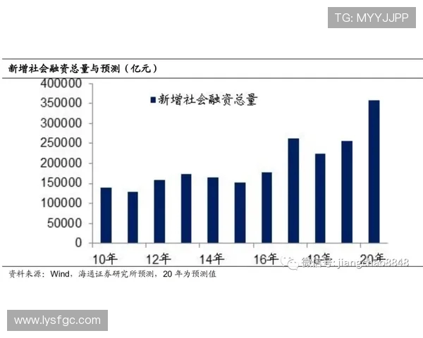 南京排球队的转换得失分析与未来发展展望