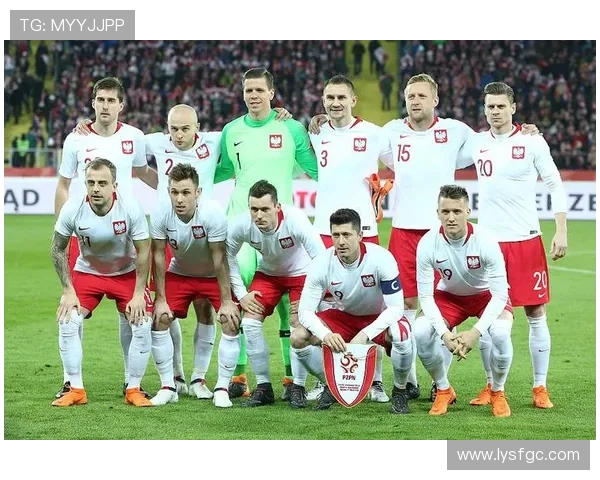 波兰与俄罗斯足球对决前瞻分析及比赛结果预测