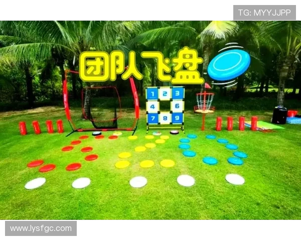 飞盘热潮下的杭州飞盘队进攻战术解析与发展趋势探讨