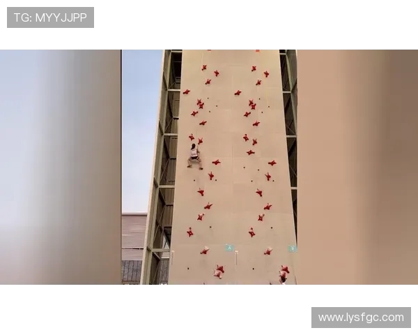 广州攀岩队整体压制体系探讨与战术分析之攀岩战术研究