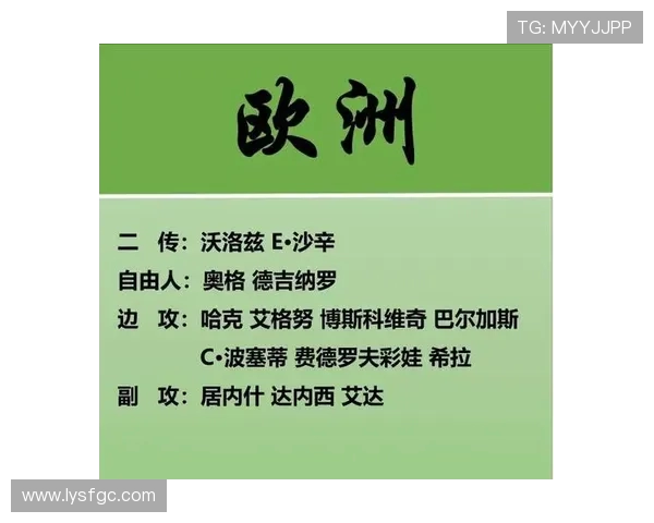 成都排球队控制打法的深度分析与战术解读