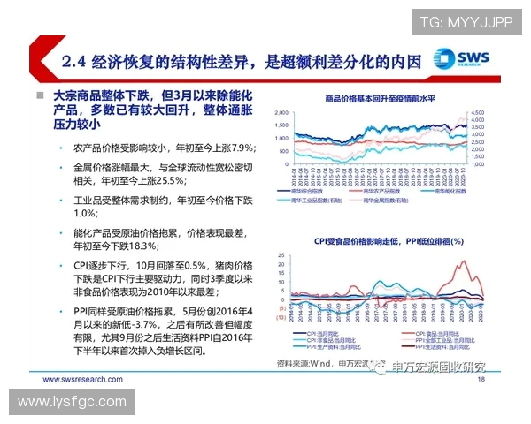深入分析上海飞盘队区域防守战术的特点与应用策略
